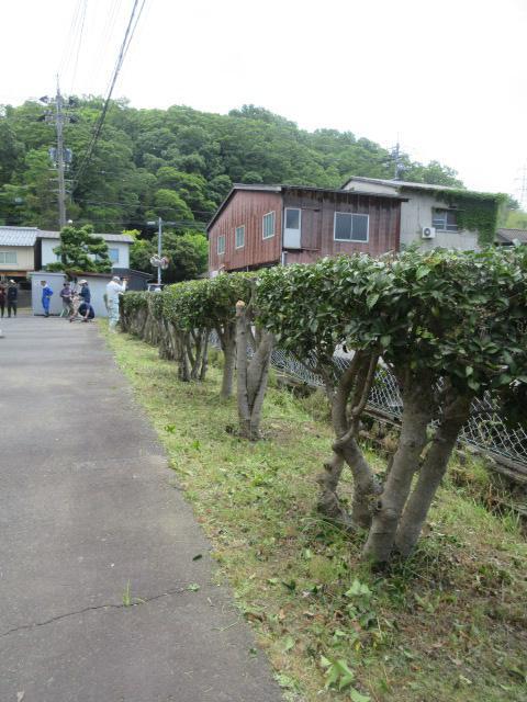 IMG_9377.JPG