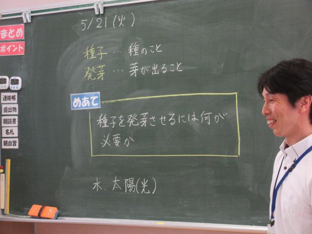 IMG_9421.JPG