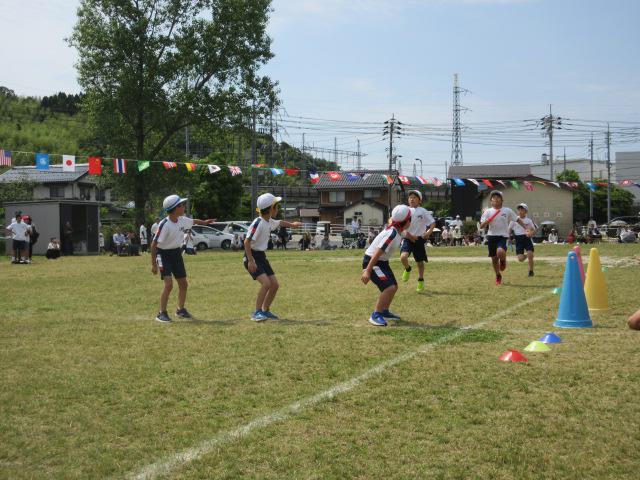 IMG_9742.JPG