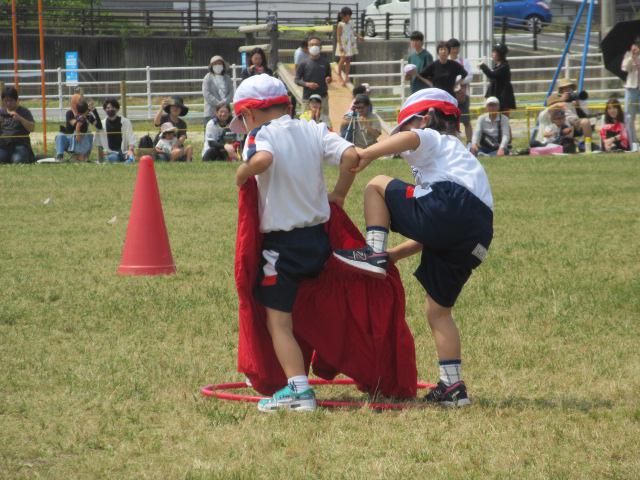 IMG_9754.JPG