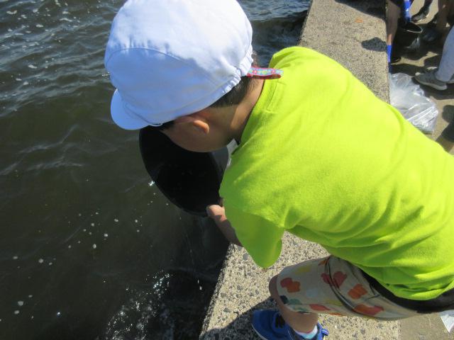 IMG_9910.JPG
