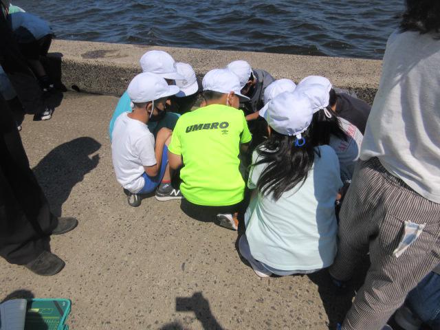 IMG_9920.JPG