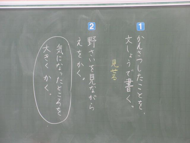 IMG_9957.JPG