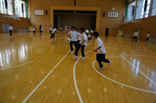 DSC07231-thumb-500xauto-55654.jpg