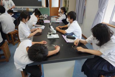 DSC06833.JPG