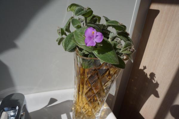 DSC07322.JPG