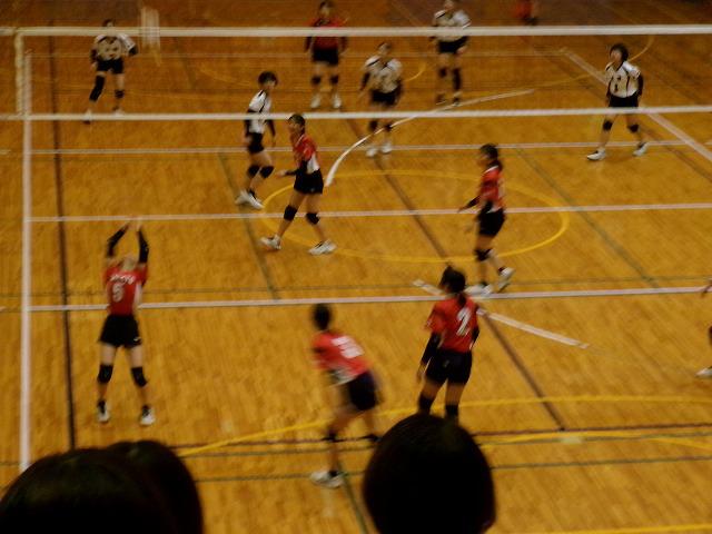 100_0590.jpg
