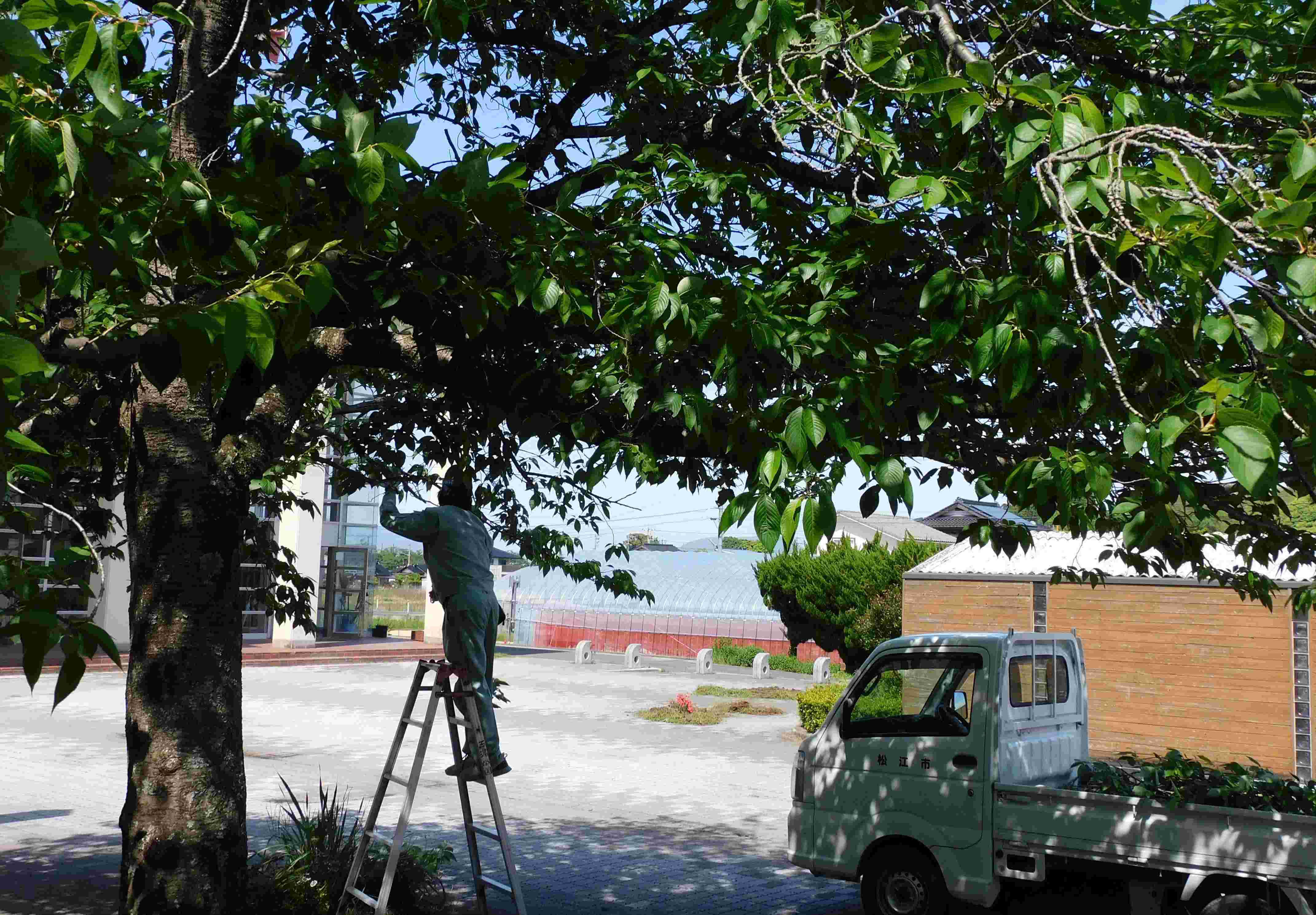 DSCN0130.JPG