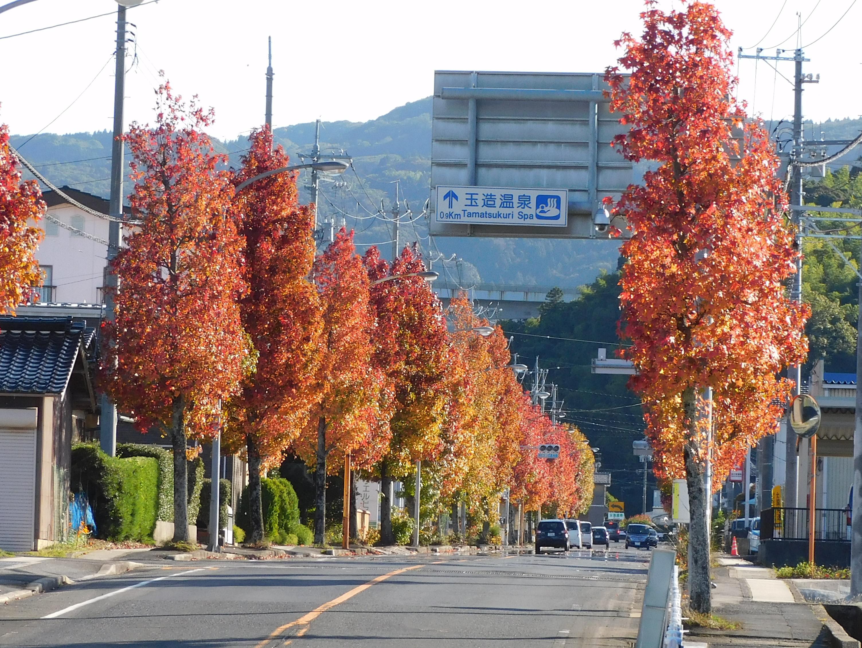 DSCN0137.JPG