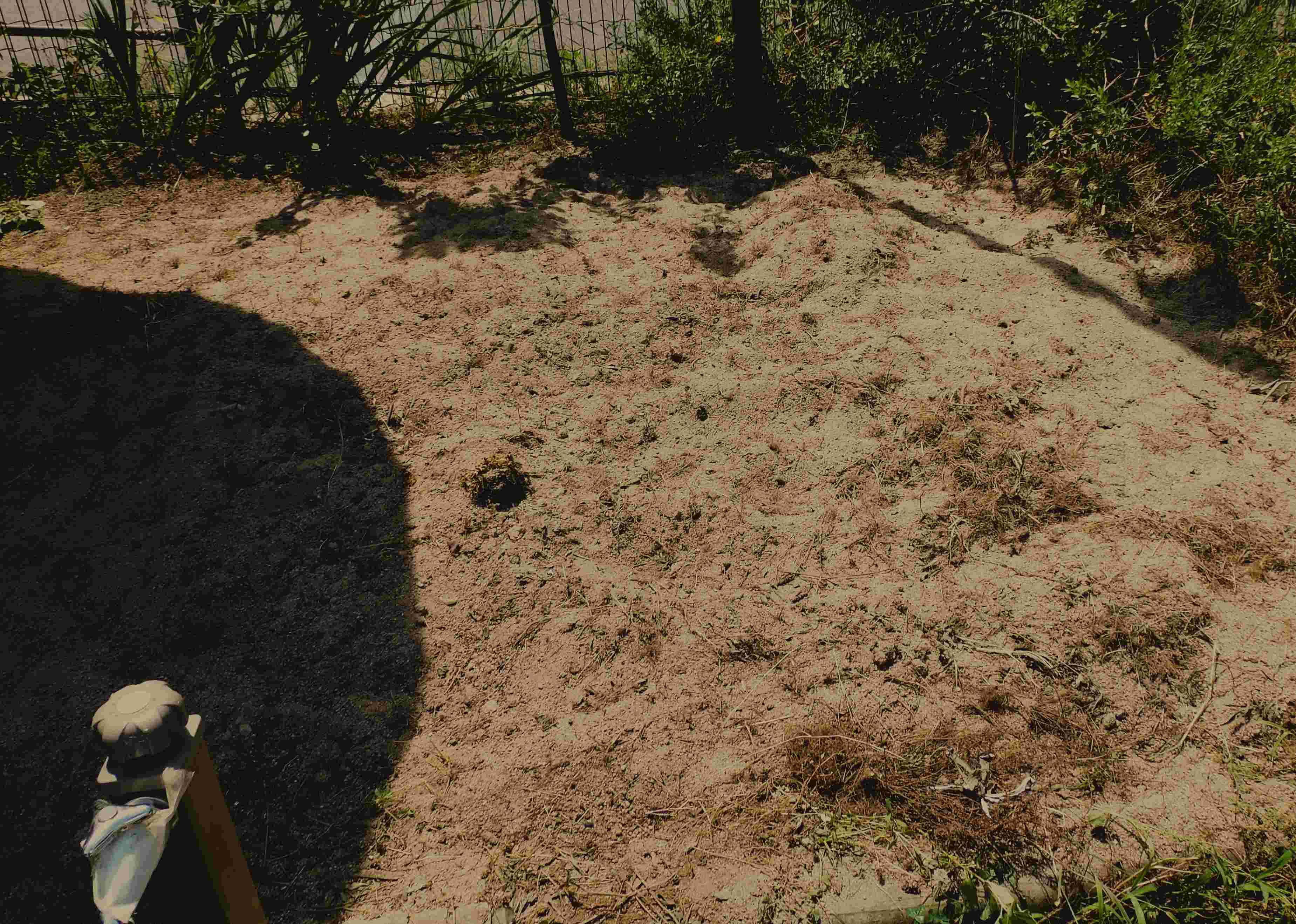 DSCN0212.JPG