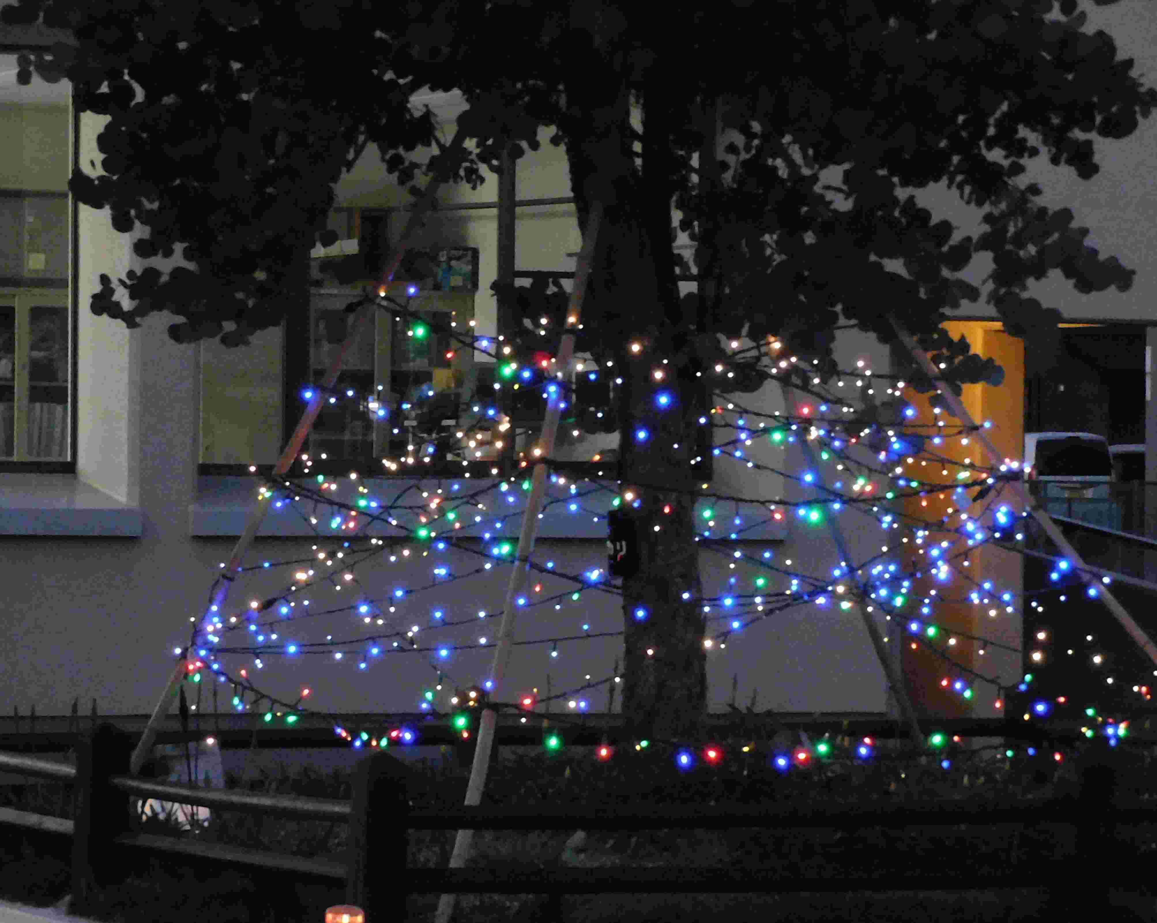 DSCN7310.JPG