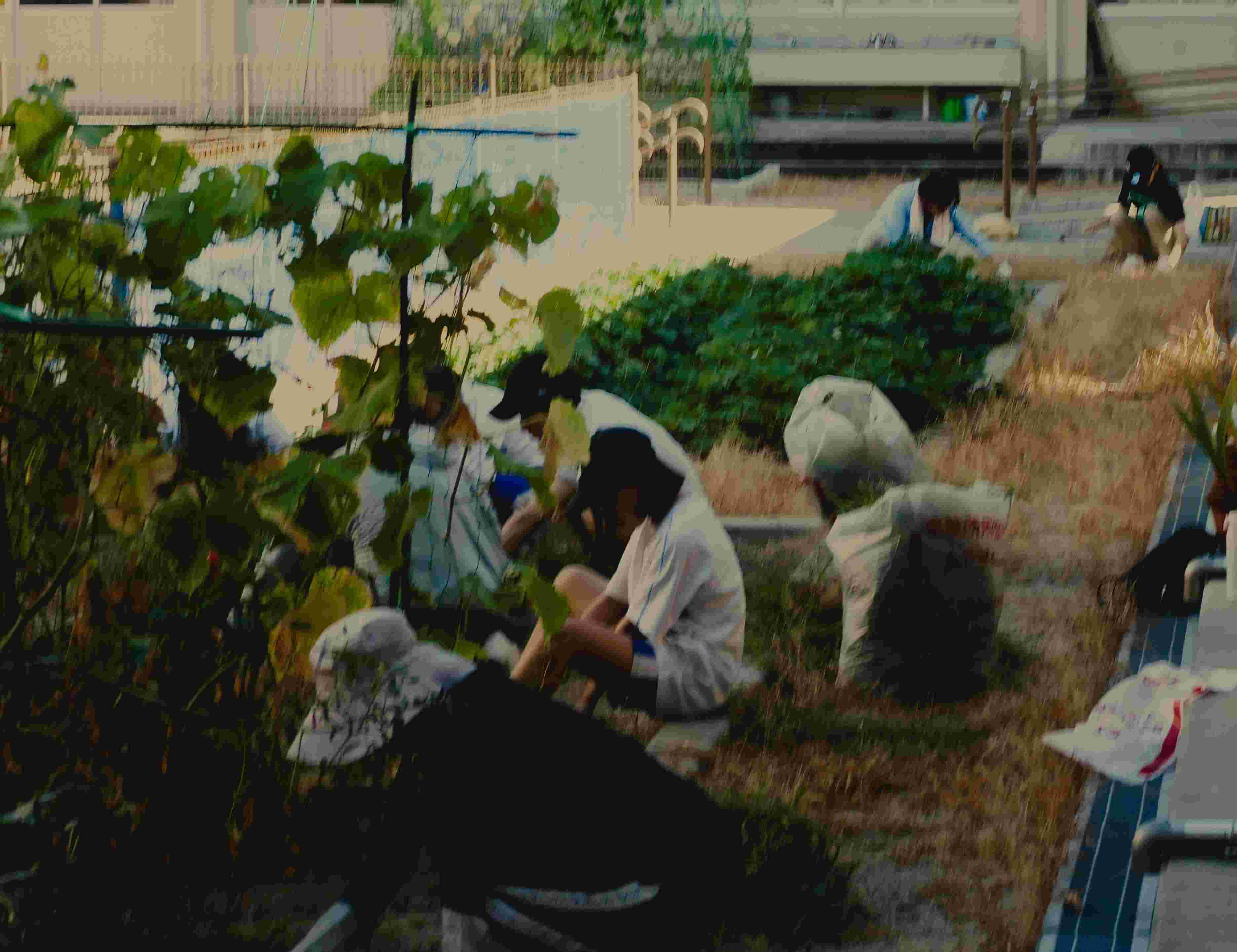 DSCN7341.JPG