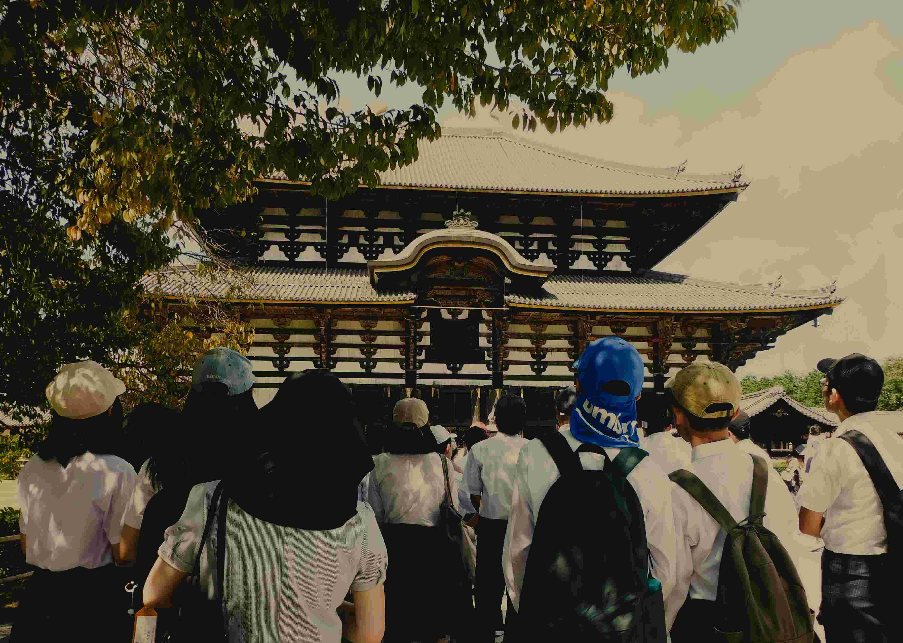 DSCN7517.JPG