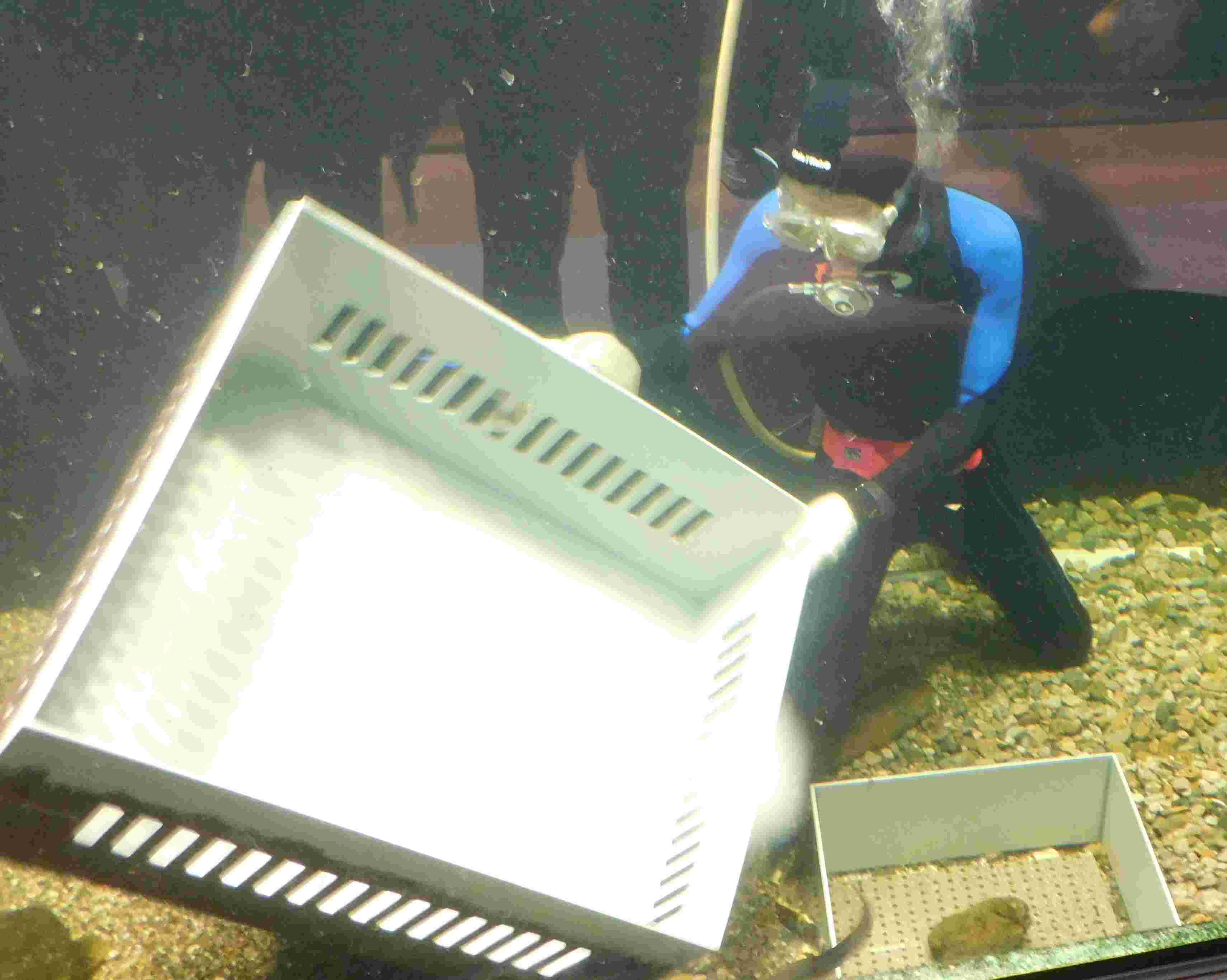 DSCN7680.JPG