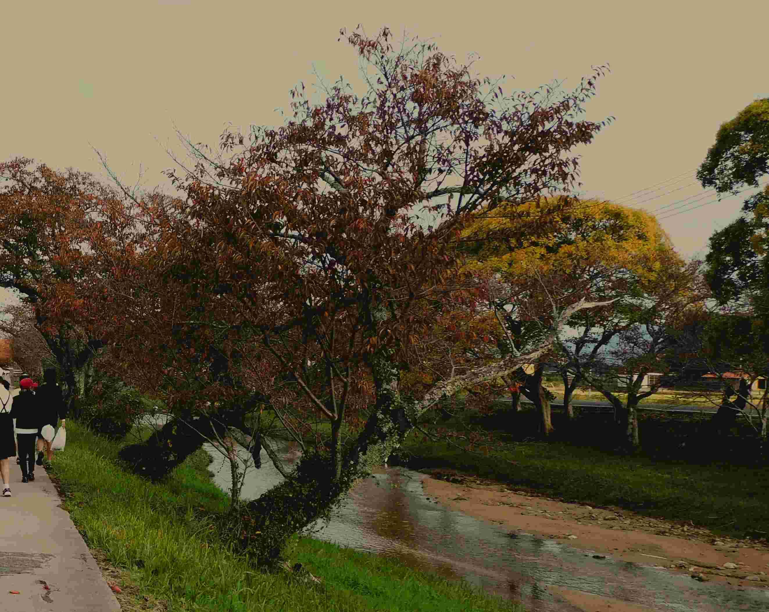 DSCN7707.JPG