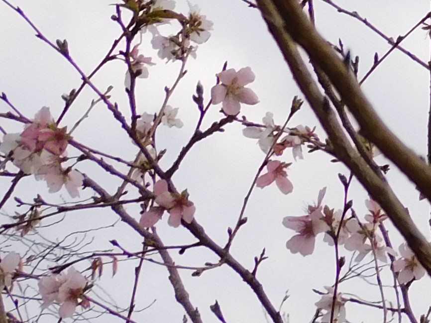 DSCN7713.JPG