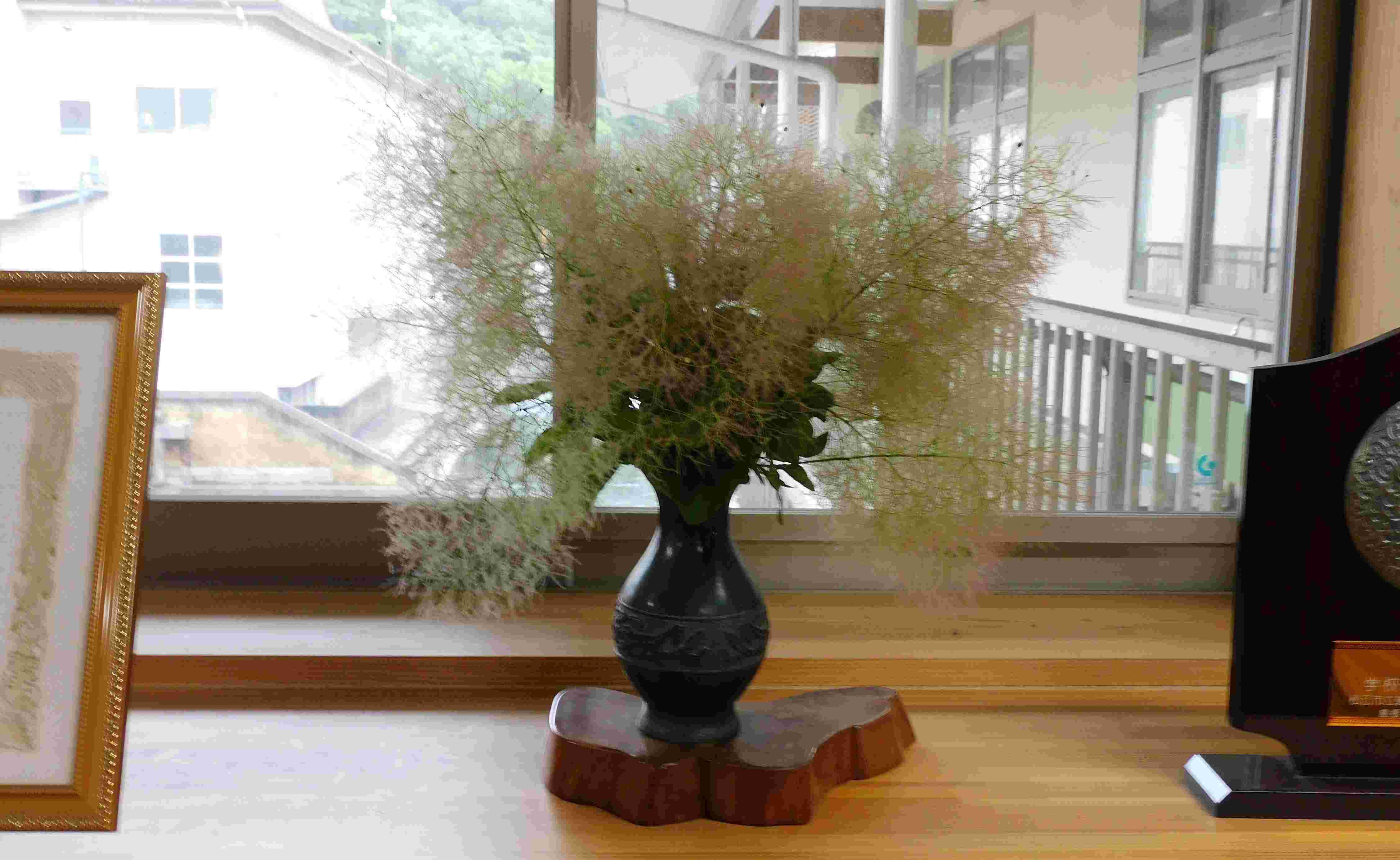 DSCN7748.JPG