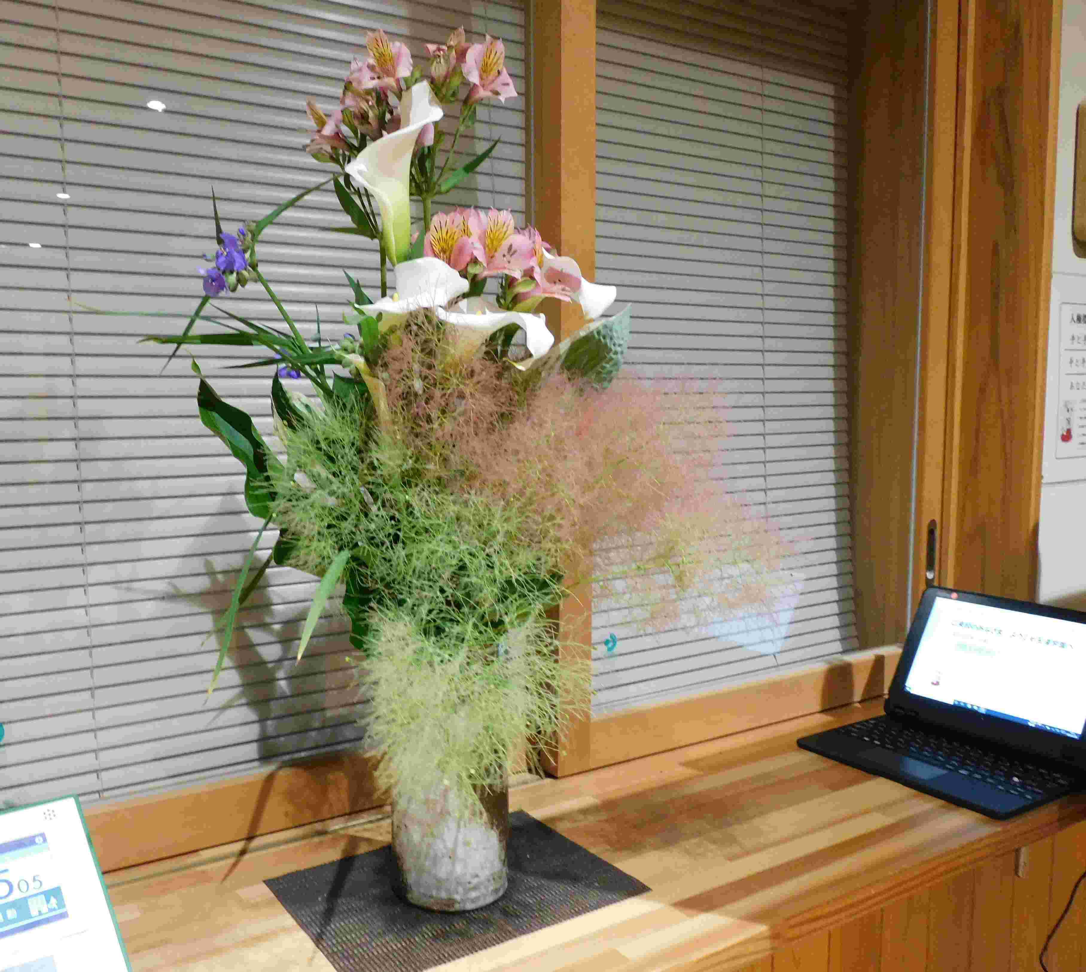 DSCN7752.JPG