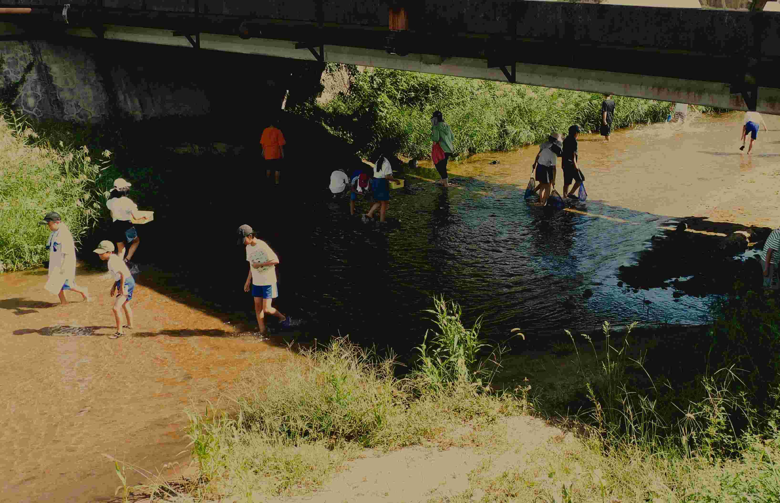 DSCN8850.JPG
