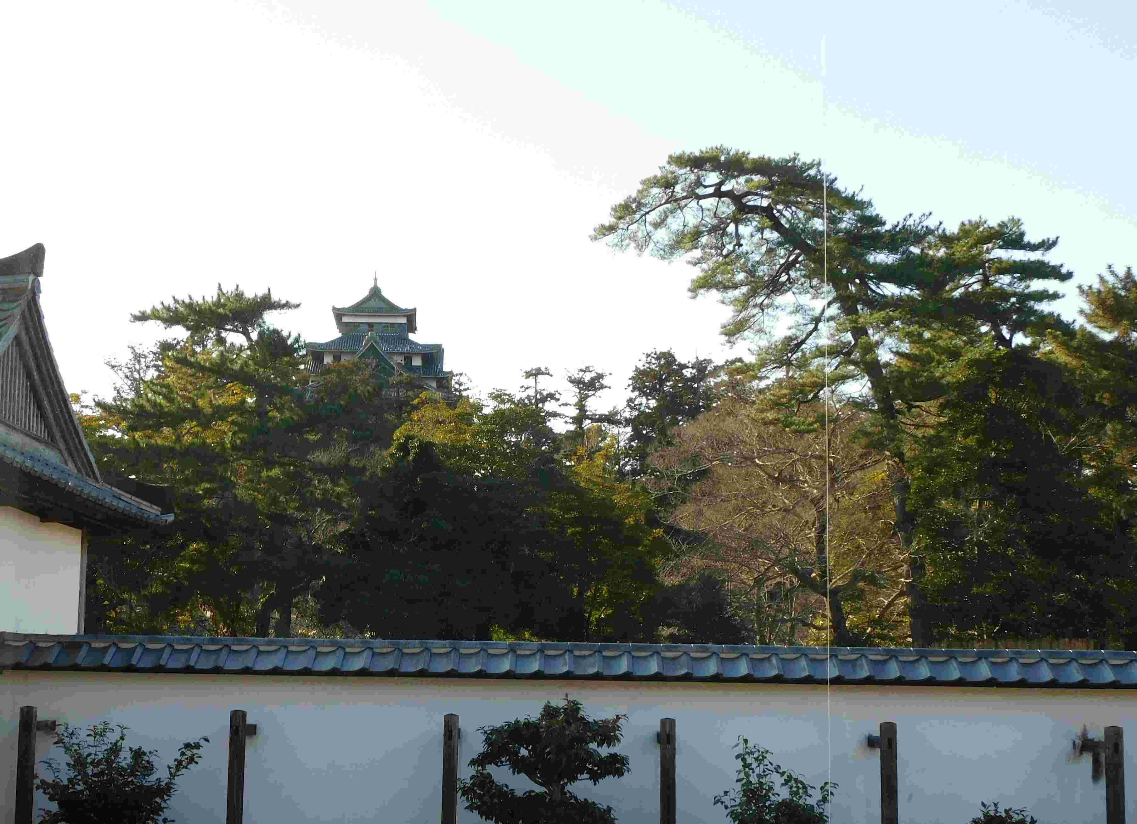 DSCN8892.JPG