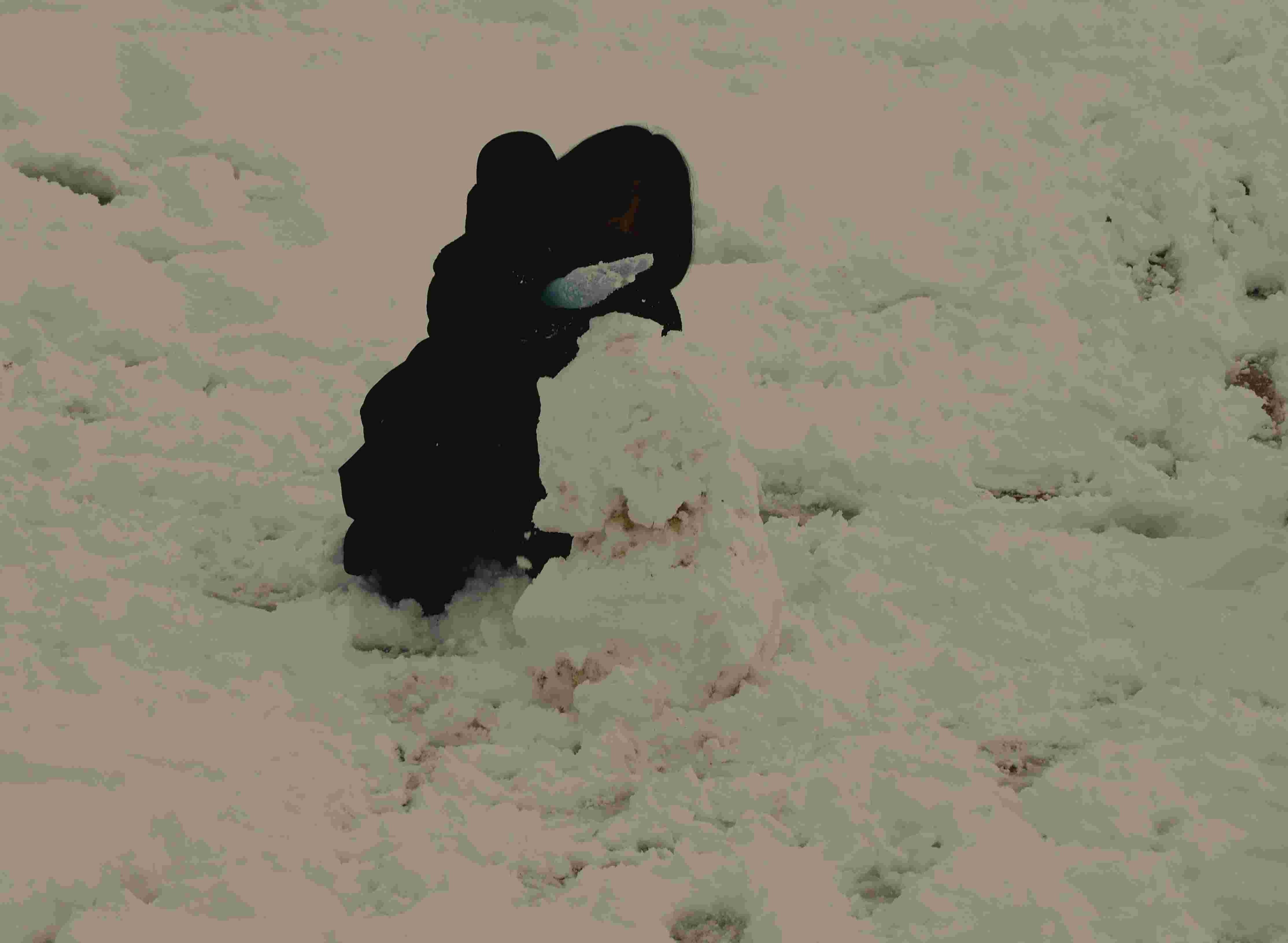 DSCN9769.JPG