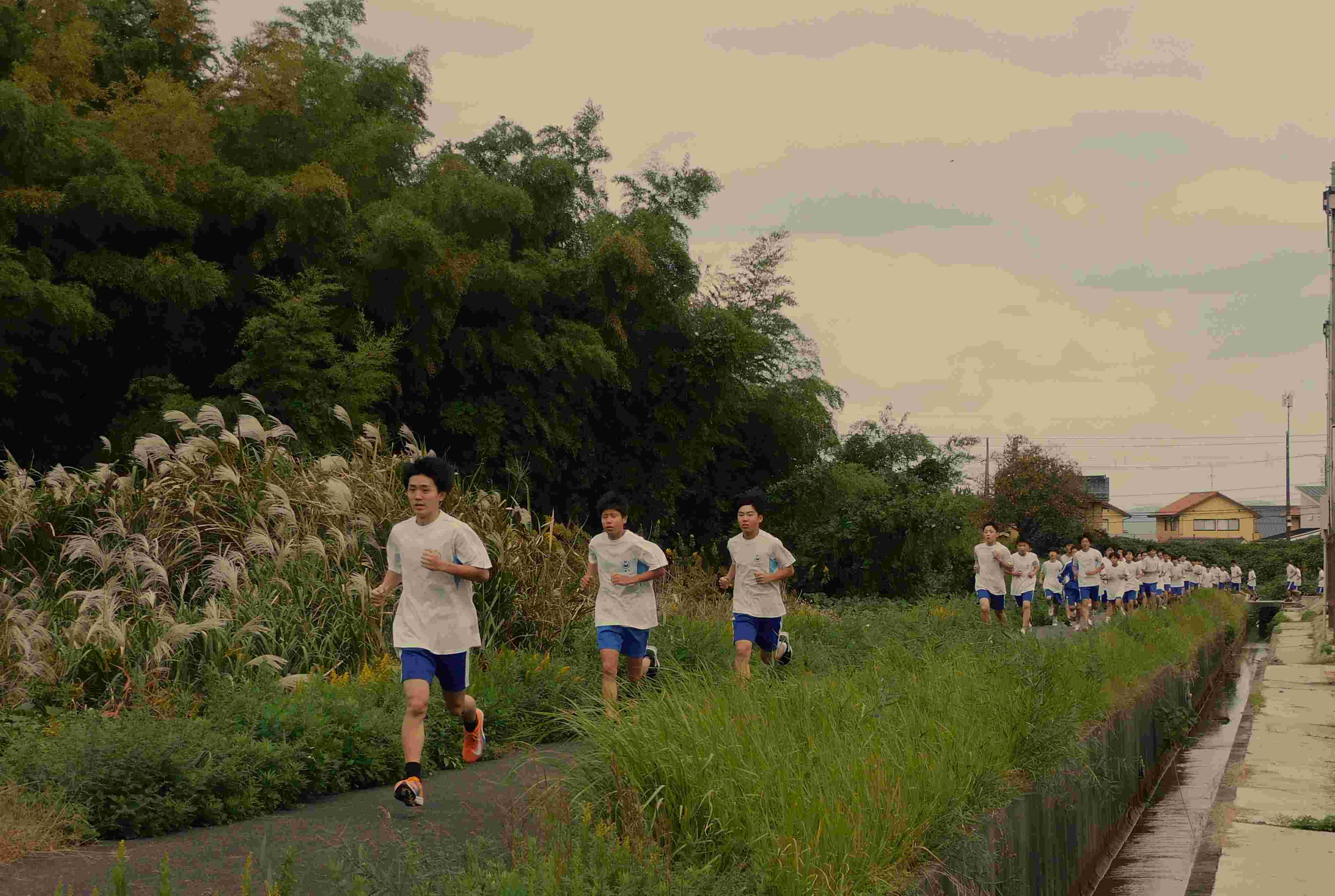 DSCN9933.JPG