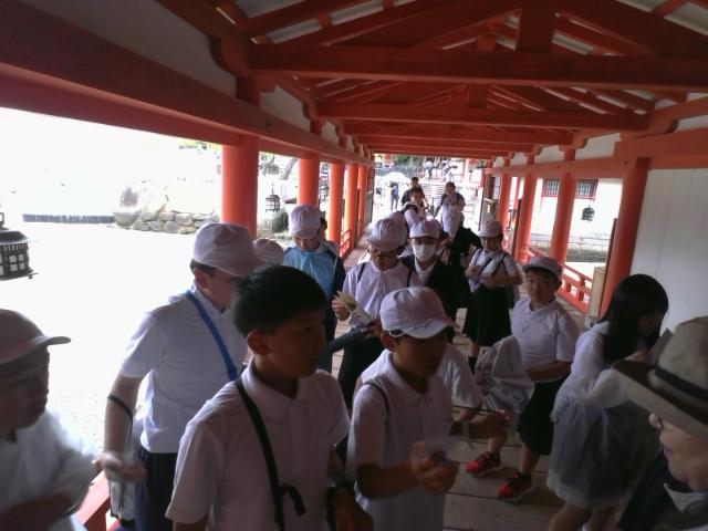 IMG_20260604_144151.jpg