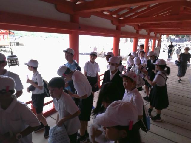 IMG_20260604_144157.jpg