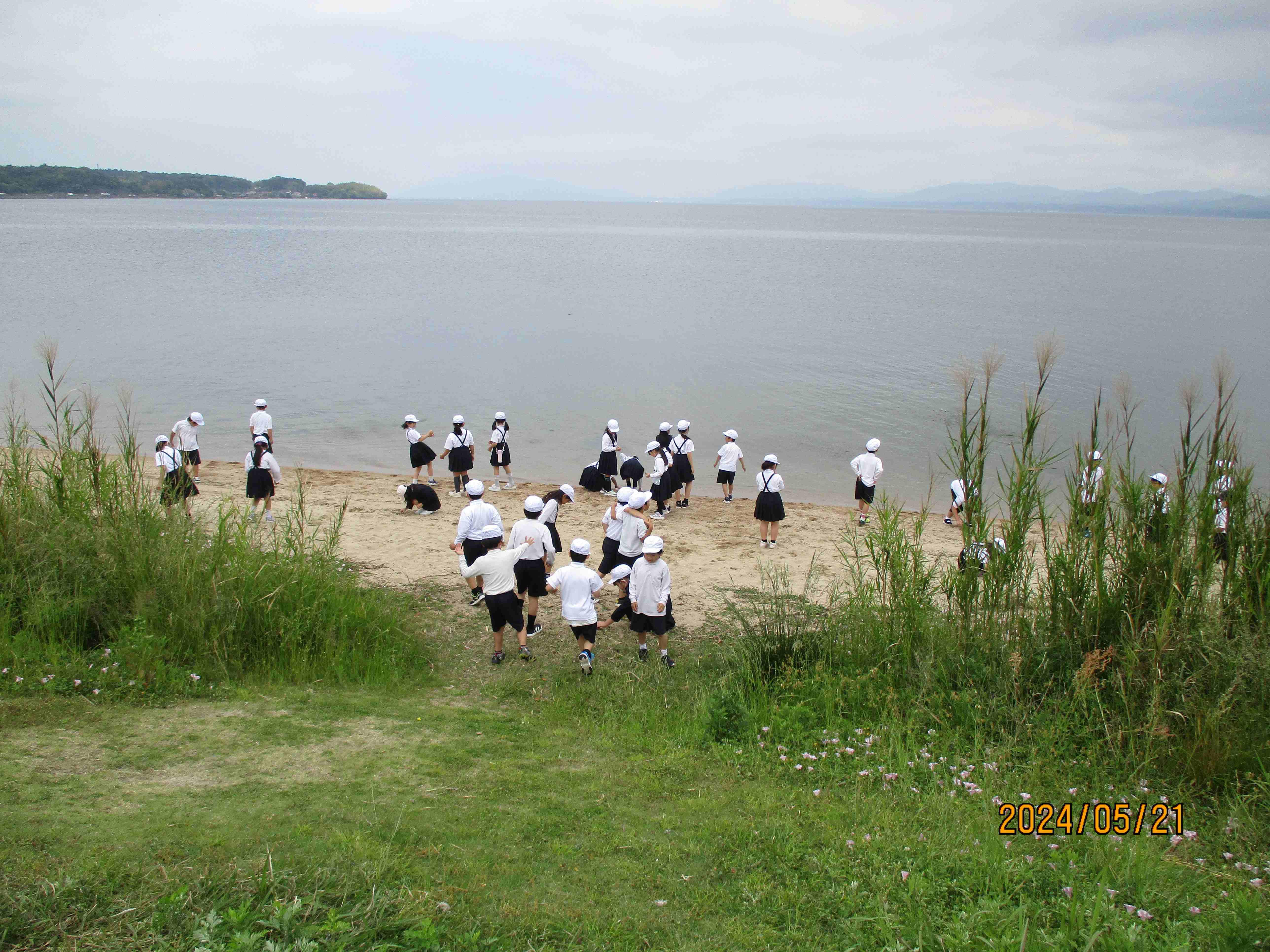 IMG_2515.JPG