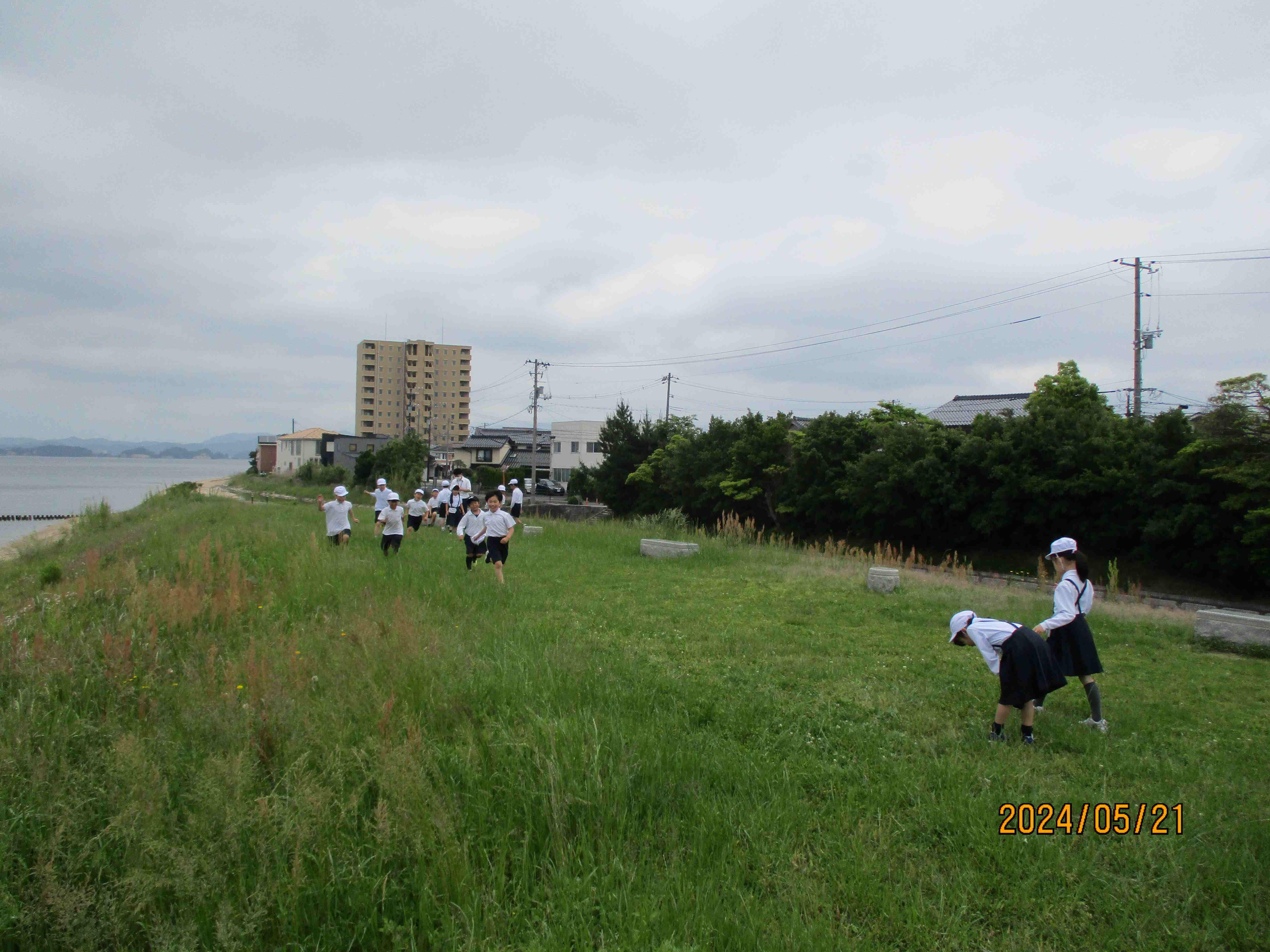 IMG_2516.JPG