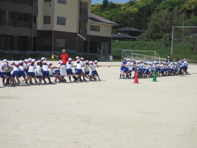 IMG_4176.JPG