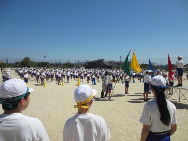 IMG_4224.JPG