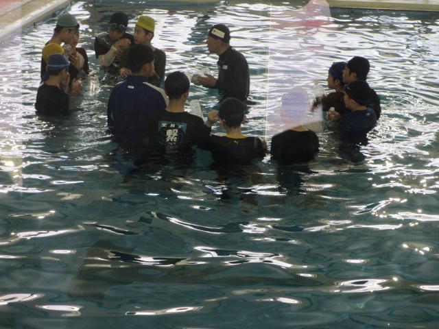 IMG_4248.JPG