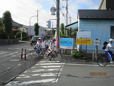 IMG_4486.jpg