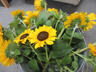 IMG_6877.jpg
