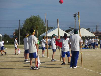 IMG_7221.jpg