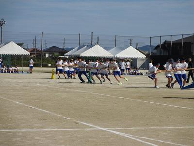 IMG_7227.jpg