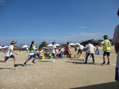 IMG_7231.jpg