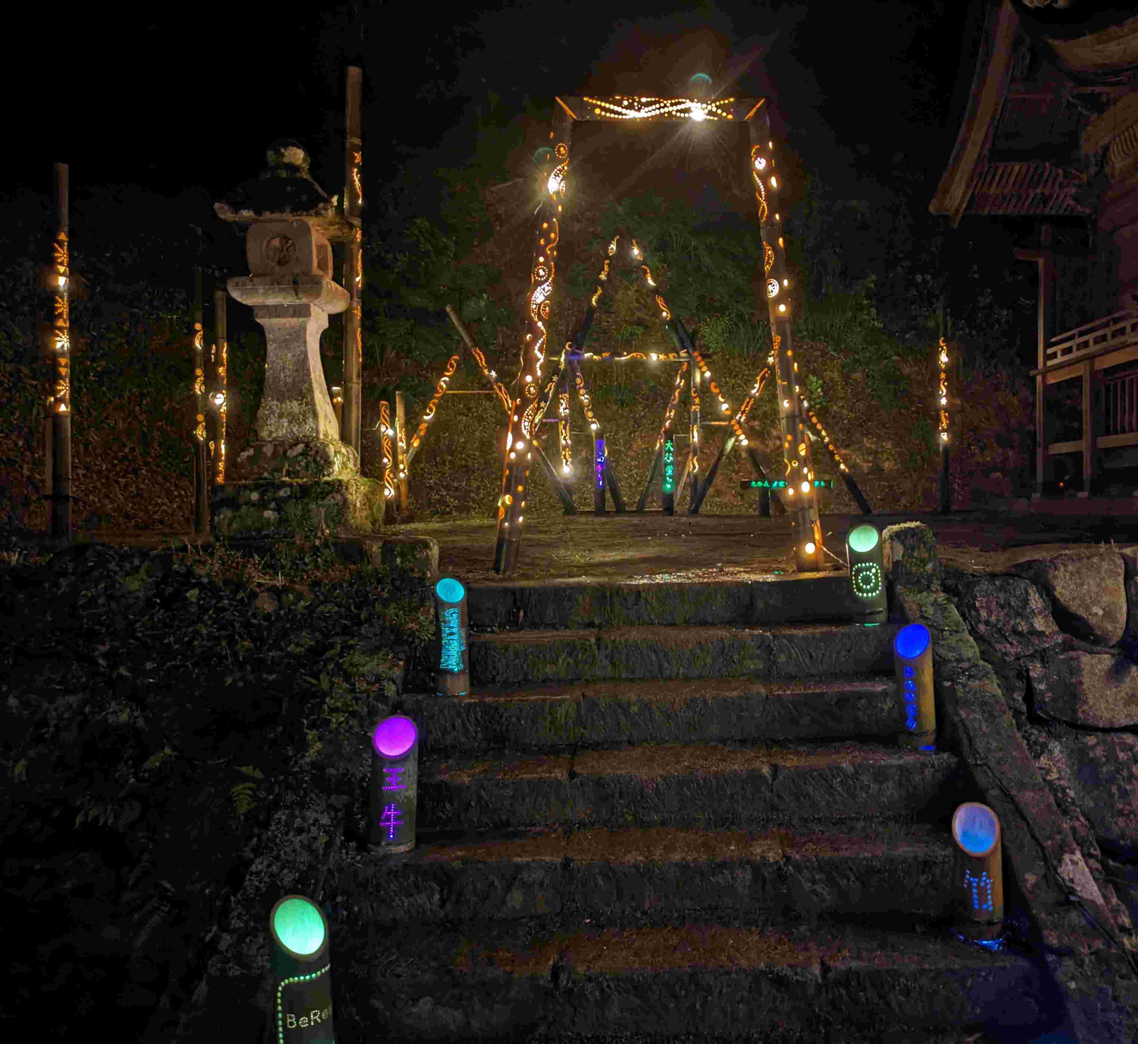 PXL_20240608_113343026.NIGHT.jpg
