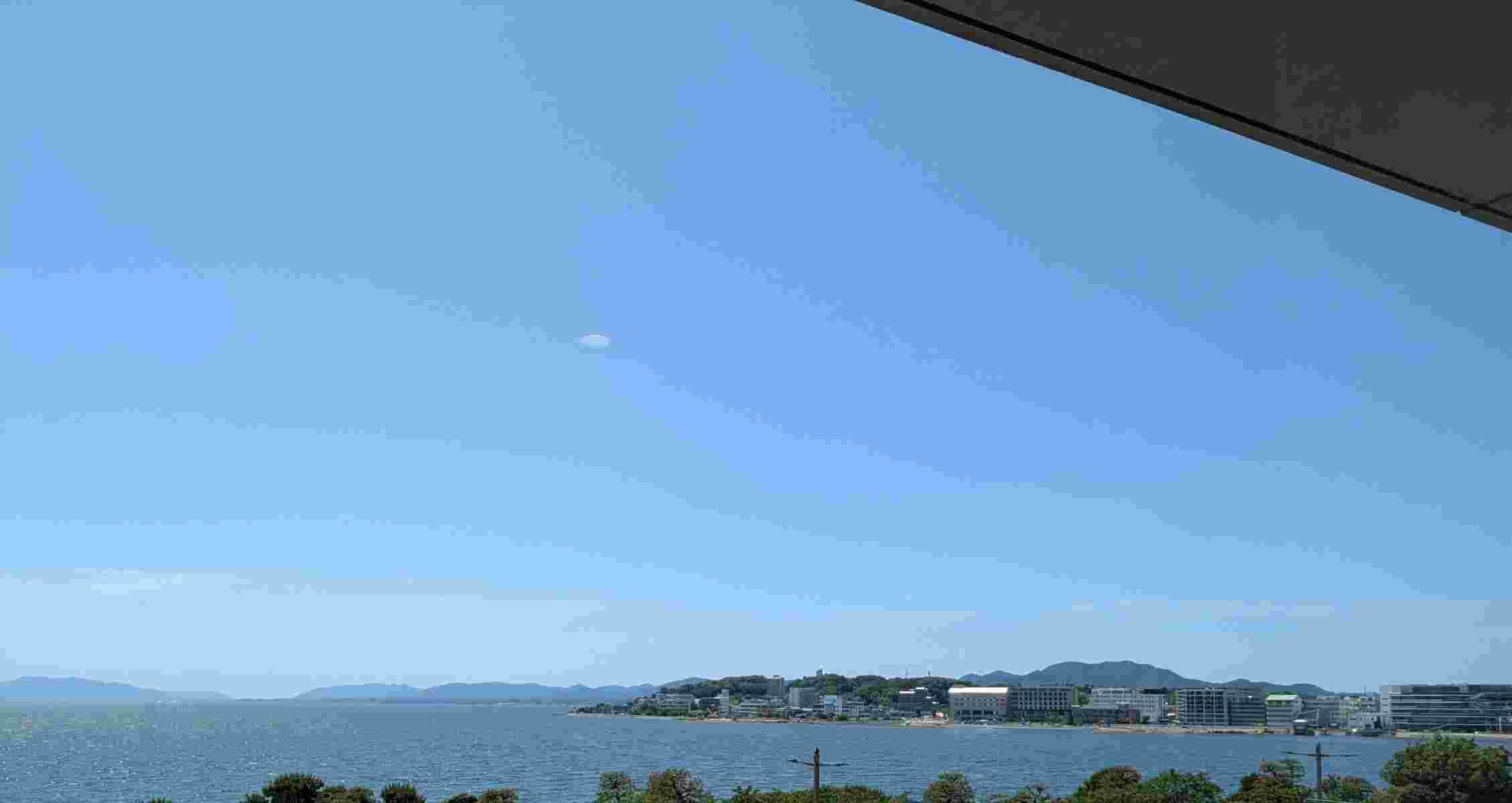PXL_20250617_044811606.jpg