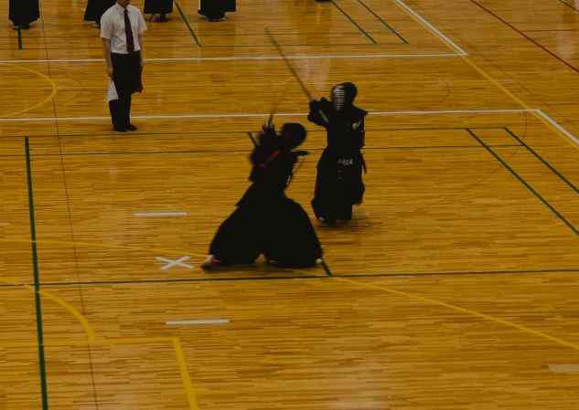 PXL_20250723_022616547.MP.jpg