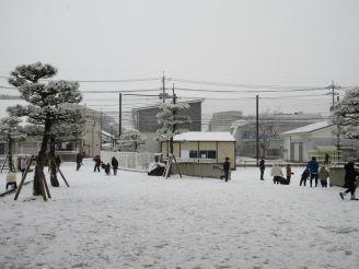 IMG_2261.JPG
