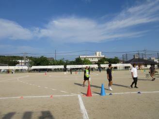 IMG_8289.JPG