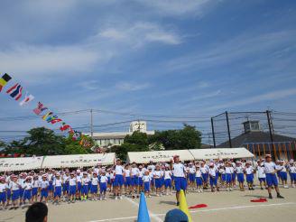 IMG_8339.JPG