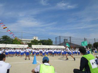 IMG_8355.JPG