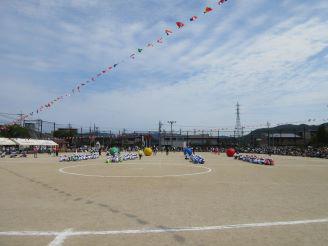 IMG_8384.JPG