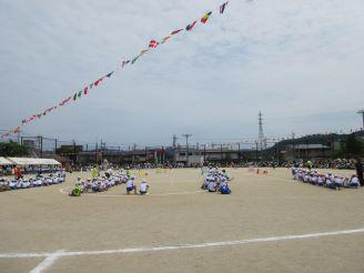 IMG_8400.JPG