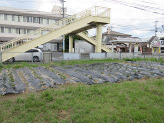 IMG_8598.JPG