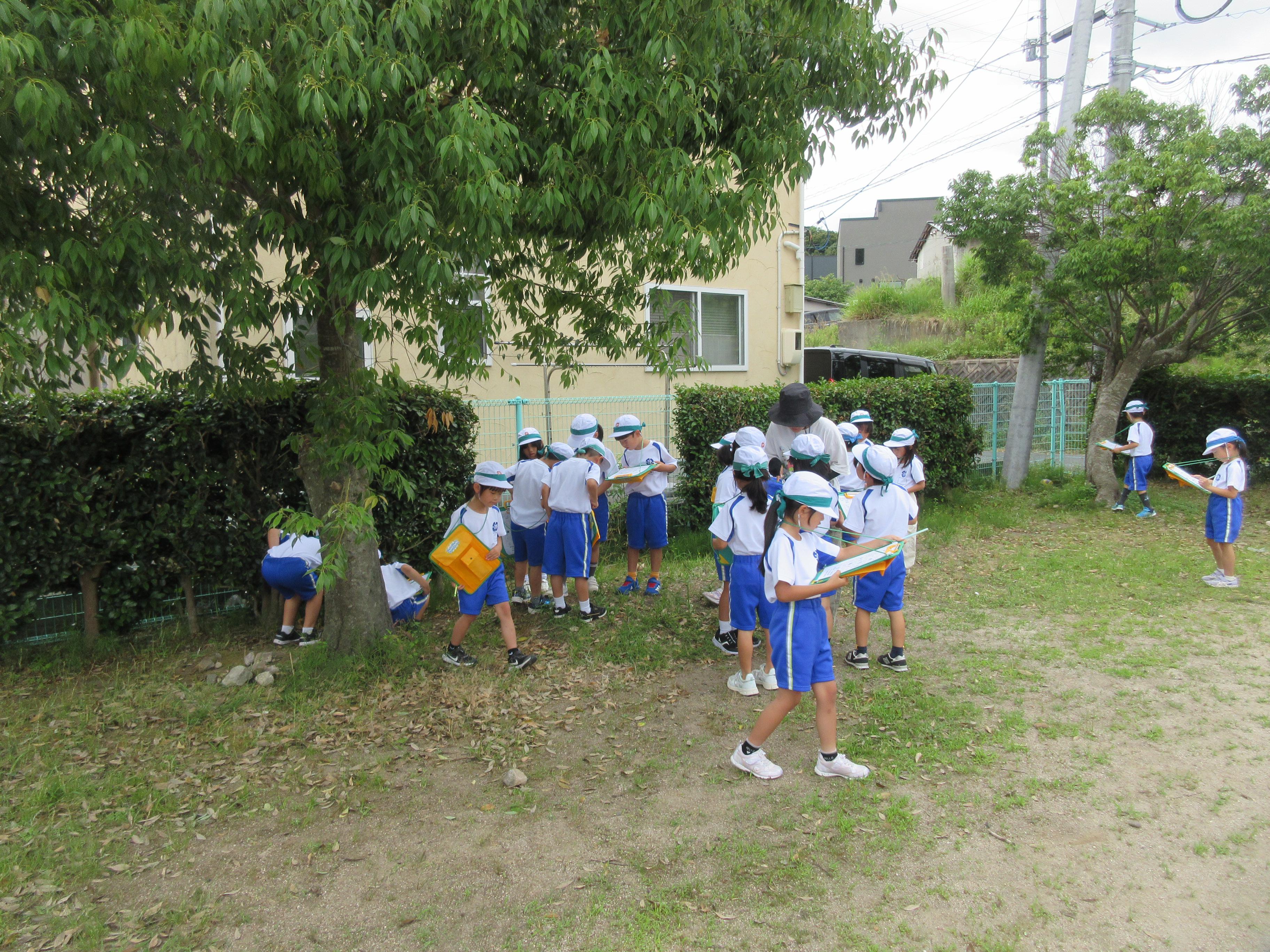 IMG_3299.JPG