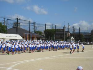 IMG_3943.JPG